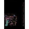 Bible bd / Nouveau Testament