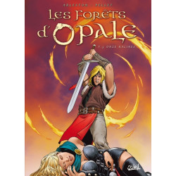 Les Forêts d'Opale T05 -...