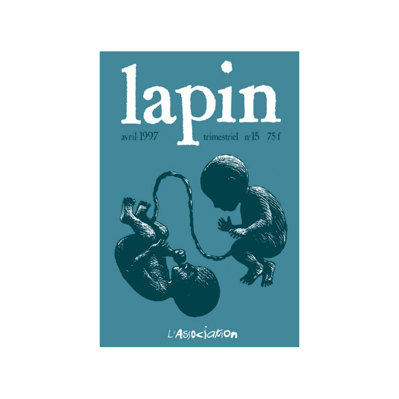 Lapin N° 15