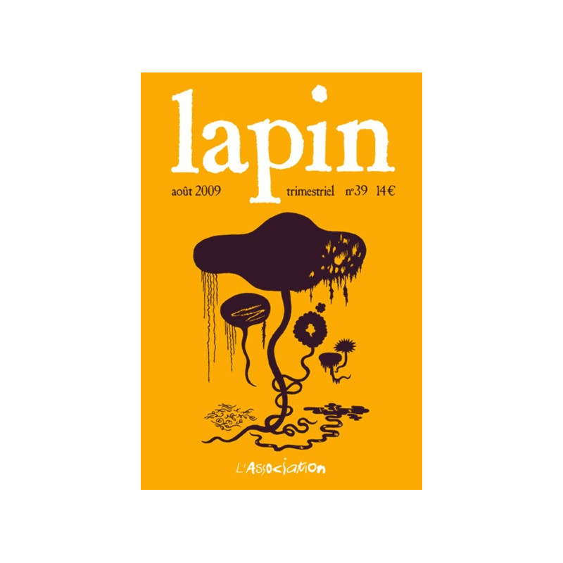 Lapin N° 39