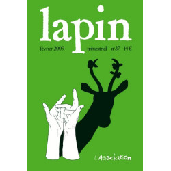 Lapin N° 37