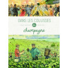 Dans les coulisses du champagne