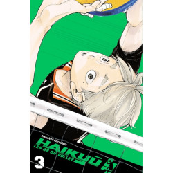 HAIKYU!! - ÉDITION SMASH T03
