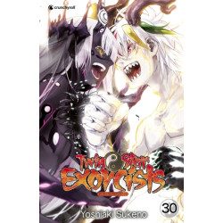 Twin Star Exorcists T30