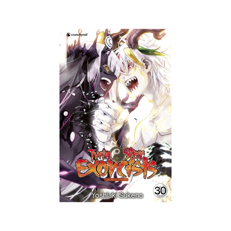 Twin Star Exorcists T30