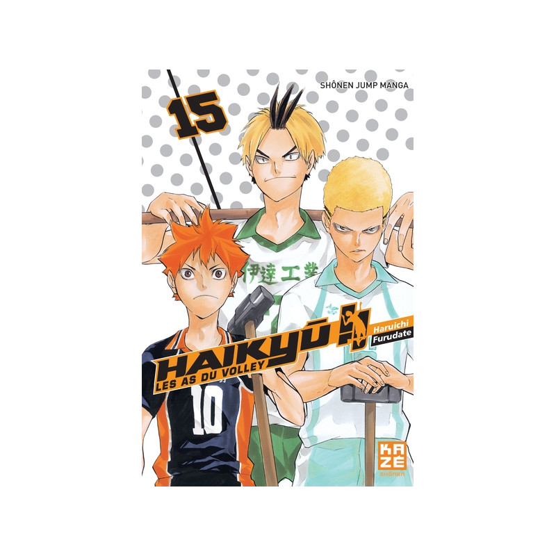 Haikyu !! - Les As du volley T15