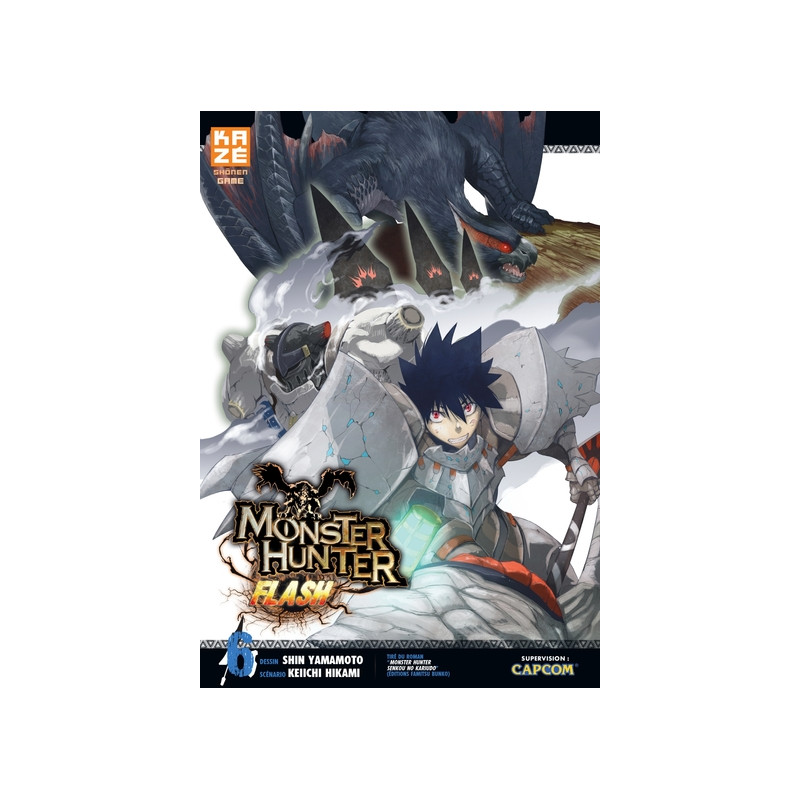 Monster Hunter Flash T06