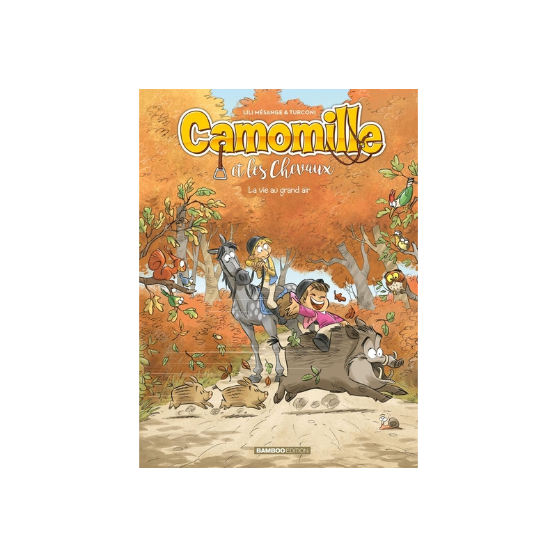 Camomille et les chevaux - tome 08