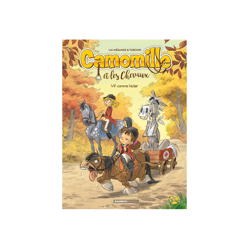Camomille et les chevaux - tome 06