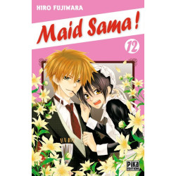 Maid Sama! T12
