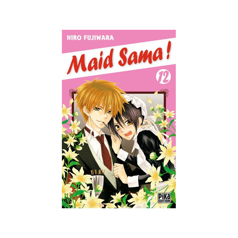 Maid Sama! T12
