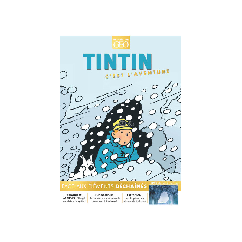 Tintin c'est l'aventure n°22 - Face aux élèments déchaînés