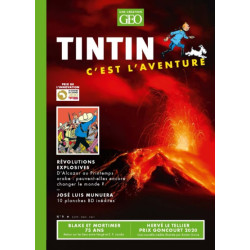 Tintin c'est l'aventure n°9...