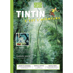 Tintin c'est l'aventure n°7...