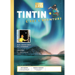 Tintin c'est l'aventure n°6...
