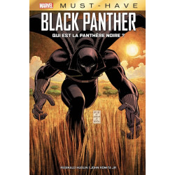Black Panther: Qui est la...