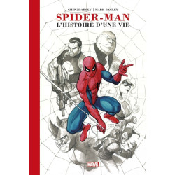 Spider-Man : L'histoire...
