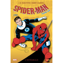 Spider-Man Team-up:...