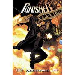 Punisher T02: Guerre en...