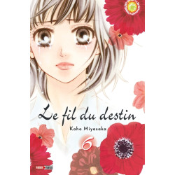 Le Fil du Destin T06 / T07...