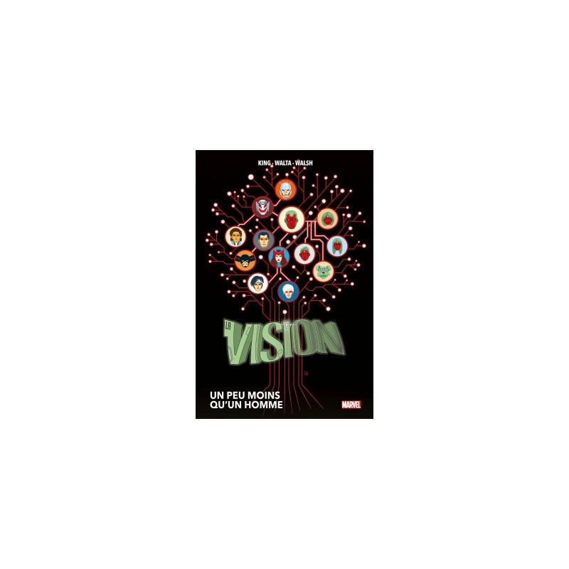 La Vision : Un peu moins qu'un homme