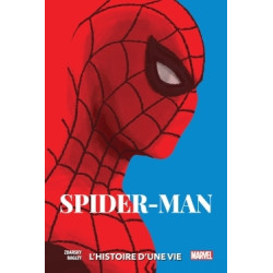 Spider-Man: L'histoire...