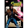Gambit: Château de cartes