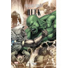 Hulk T03
