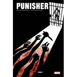 Punisher Max par Aaron et...