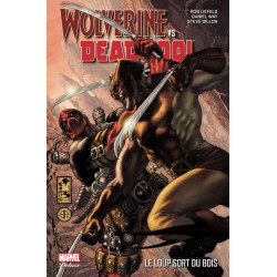 Wolverine vs Deadpool