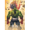 Hulk T01