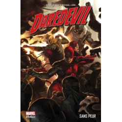 Daredevil par Brubaker T02