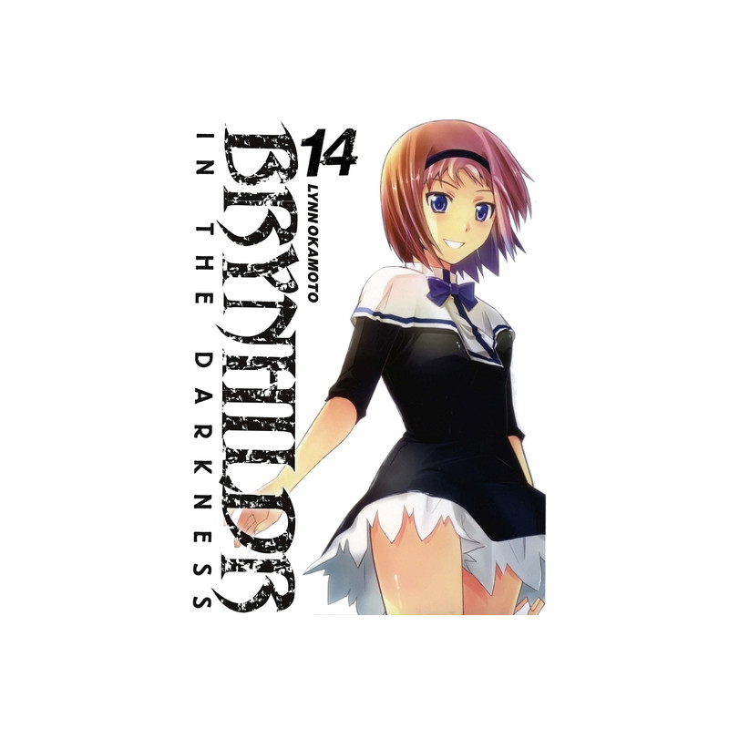 Brynhildr in the Darkness T14