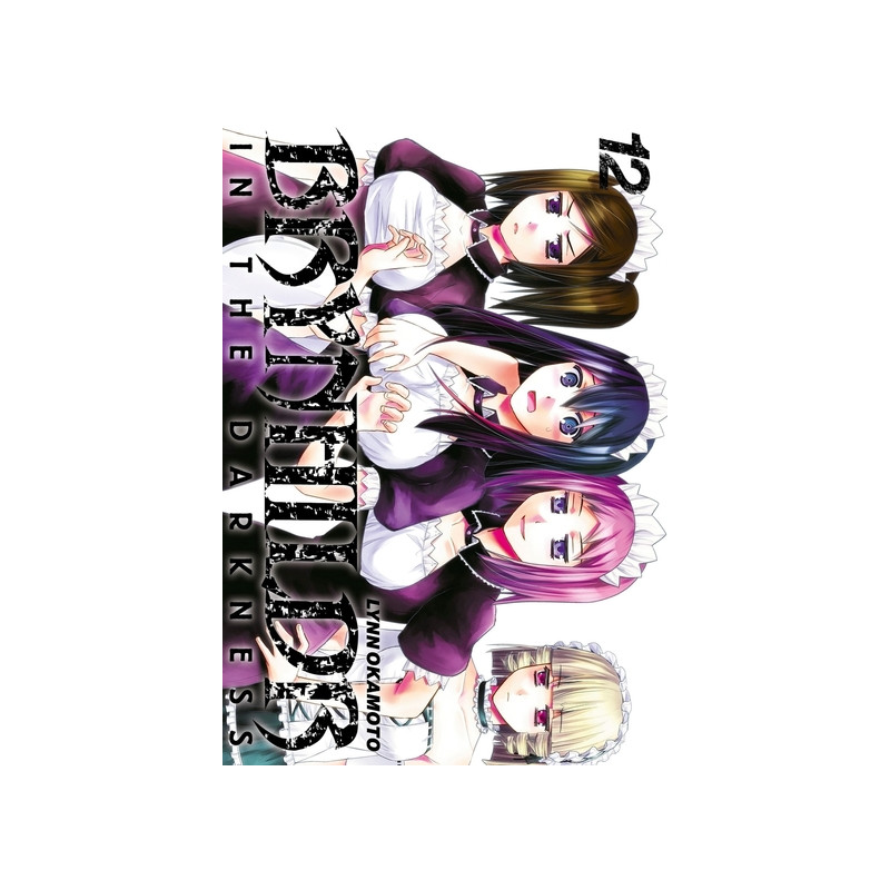 Brynhildr in the Darkness T12