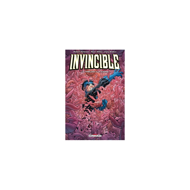 Invincible T13