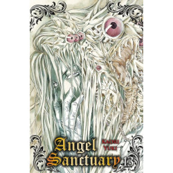 Angel Sanctuary T13