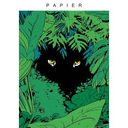 Papier T01
