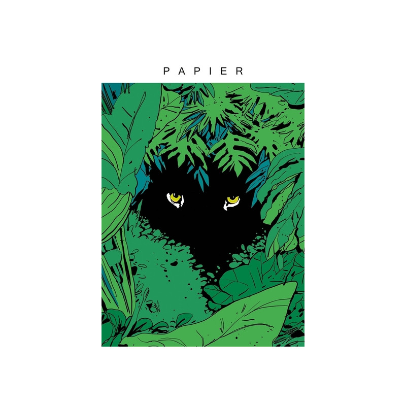 Papier T01
