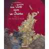 Le Vent dans les sables T05 Du souk dans la casbah