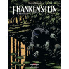 Frankenstein, de Mary Shelley T02