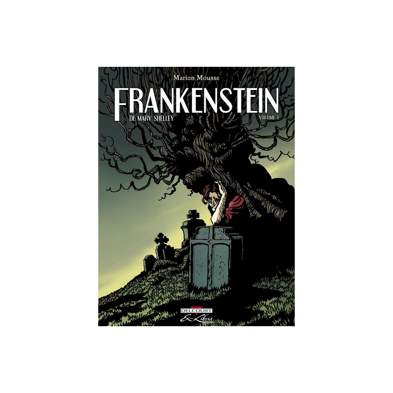 Frankenstein, de Mary Shelley T01