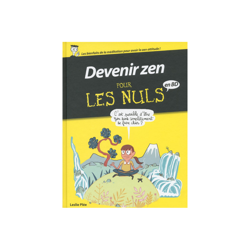 Devenir zen Pour les Nuls - BD