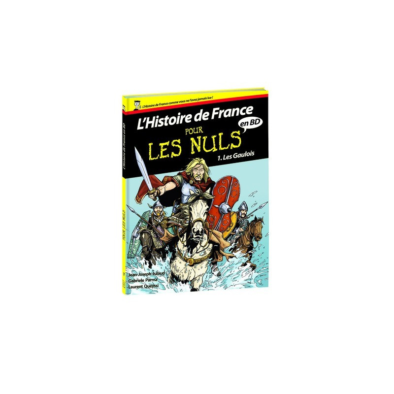 L'histoire de France en bd pour les nuls - tome 1 - les gaulois