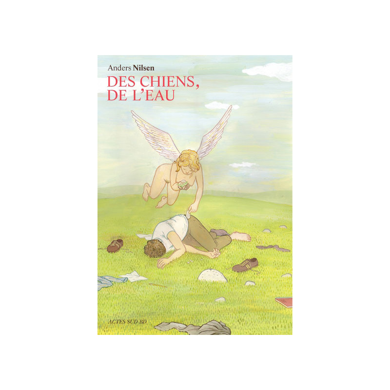 Des chiens, de l'eau