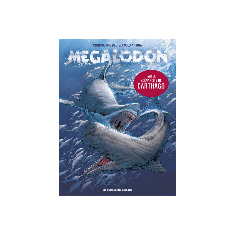 Mégalodon