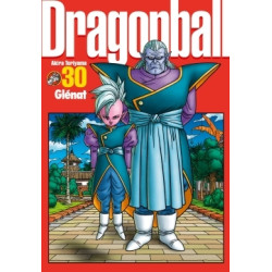 Dragon Ball perfect edition...