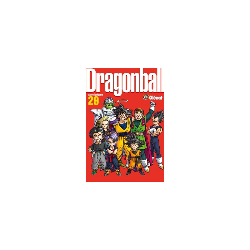 Dragon Ball perfect edition - Tome 29