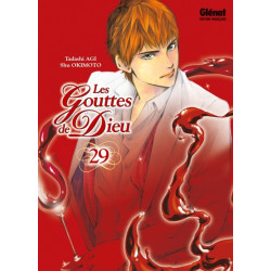 Les Gouttes de Dieu - Tome 29
