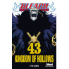 Bleach - Tome 43
