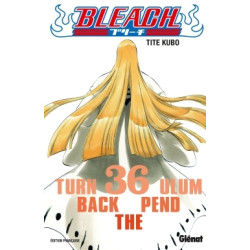 Bleach - Tome 36
